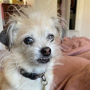 Meet your Posher, Merrady